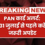 Pan Card Deactivation